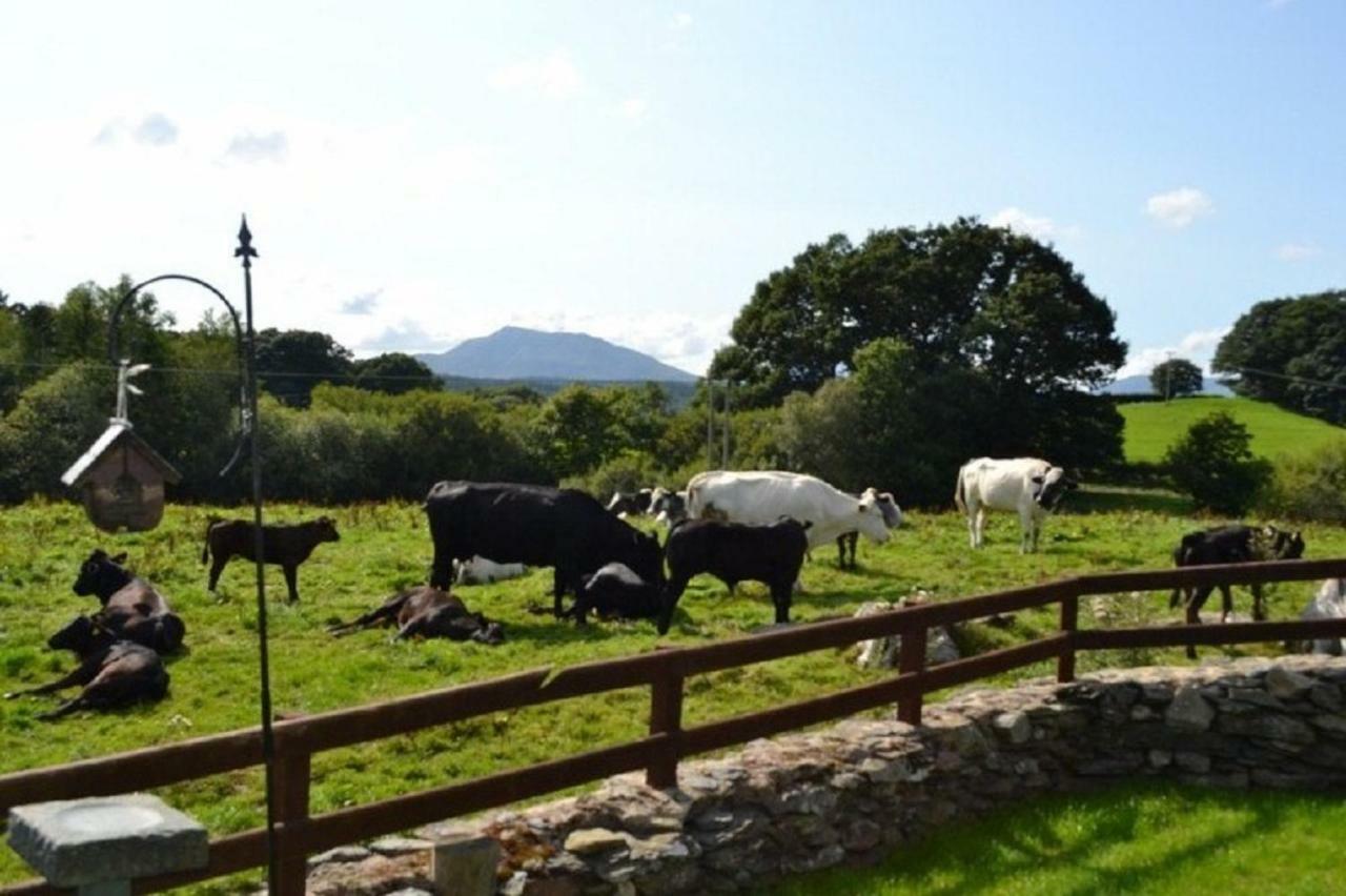 Tryfan, Betws Y Coed, Snowdonia, 2 En-Suite Bedrooms Exterior photo